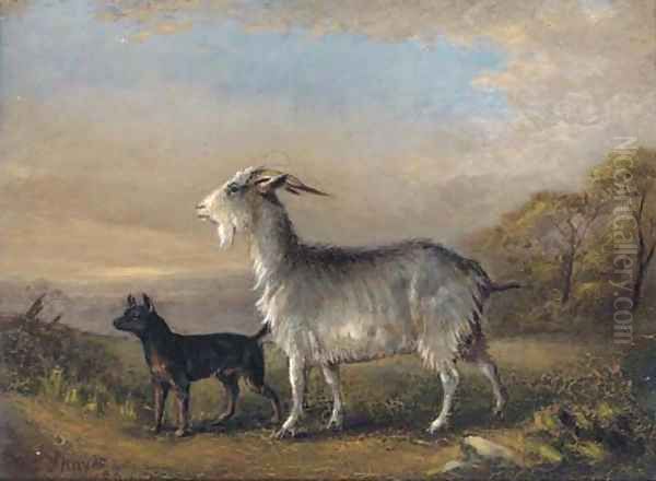 A goat and a terrier in a landscape - view 1