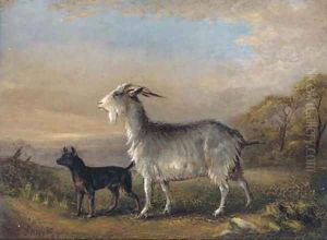 A goat and a terrier in a landscape