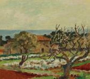 Sketch For Flower Farm, Bandol, South Of France