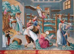 Women Lining Shelves with Mulberry Leaves for the Silkworms, plate 5 from Vermis Sericus The Silkworm engraved by Philip Galle 1537-1612 by Giovanni Stradano