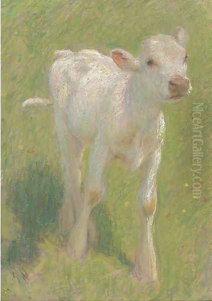 Study of a calf in a summer meadow - view 1