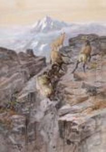 Bighorn Sheep - Winner Take All by Charles Marion Russell