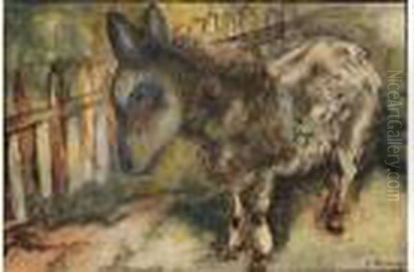 Village Donkey - view 1