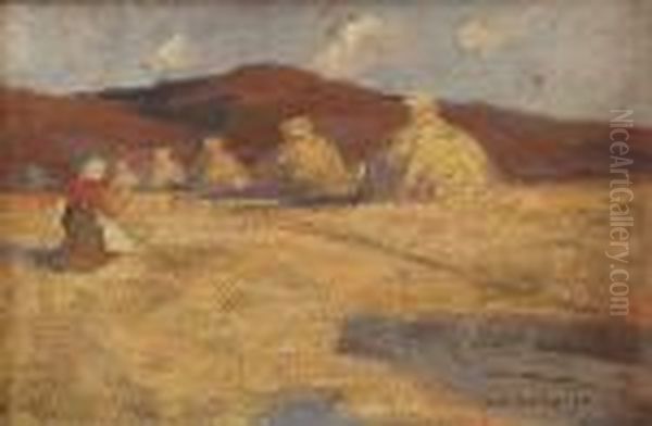 Zniwa - view 1