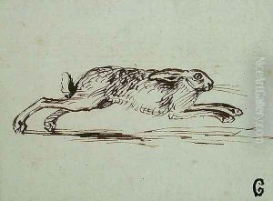 A Hare Running, With Ears Laid Back by James Seymour