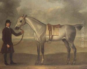 Grey racehorse held by a groom