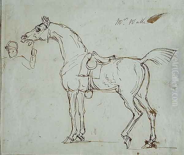 A Racehorse, Bridled and Saddled - view 1