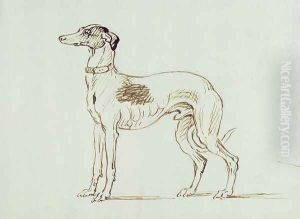 A Greyhound, Facing Left