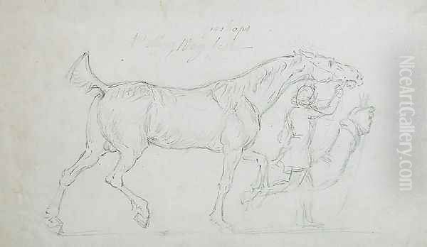 Man Leading a Trotting Stallion to Right - view 1