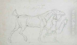Man Leading a Trotting Stallion to Right by James Seymour