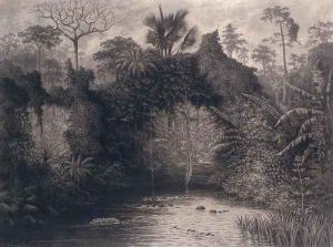View of the Gulf of Biafra, West Africa, 1877 by Emma Sandys