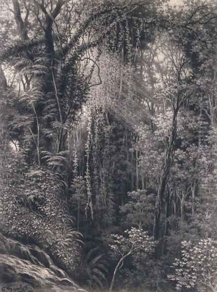 View of the Gorge above Apia, Upolu, Western Samoa, 1877 - view 1