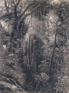 View of the Gorge above Apia, Upolu, Western Samoa, 1877 by Emma Sandys