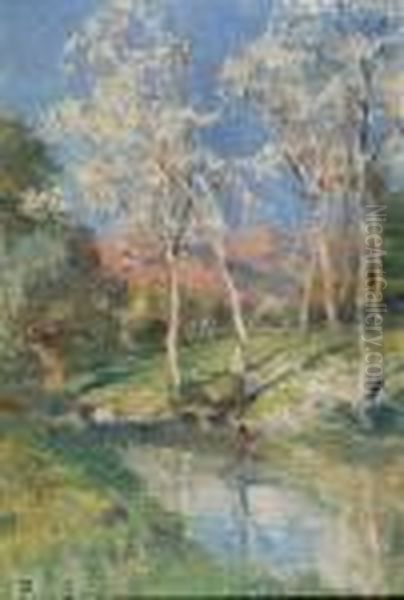 Betulle - view 1