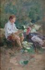 Study Of A Boy And A Turkey In A Yard