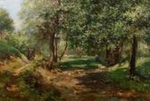 A Wooded Path