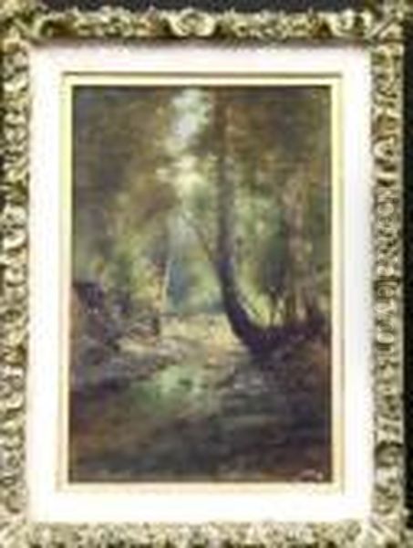 Forest Interior - view 1
