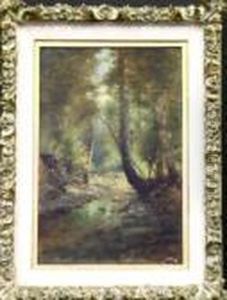 Forest Interior by Paolo Sala