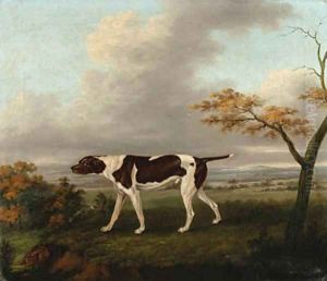 A pointer with a hare in an extensive landscape