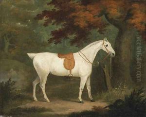 A saddled grey Hunter in a wooded Landscape by John Nost Sartorius