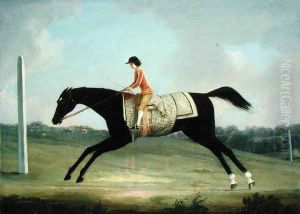 Borlase Cokayne as a Boy riding Sultana, 1751 by Thomas Smith of Derby