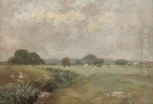 Hale Farm water meadows by James Stark