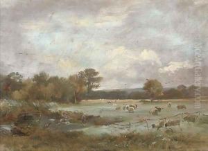 On Hale Farm water meadows