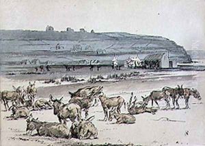 Donkeys on the Golf Course, illustration from Graphic magazine, pub. c.1870 2 by Henry Sandercock