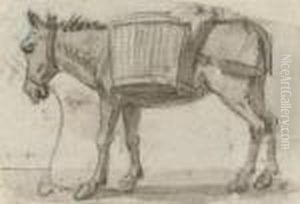 Study Of A Donkey by Paul Sandby