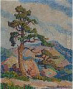 Pine Tree In Rocky Mountain National Park by Sven Birger Sandzen