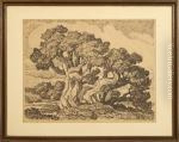 Three Cedars - view 1