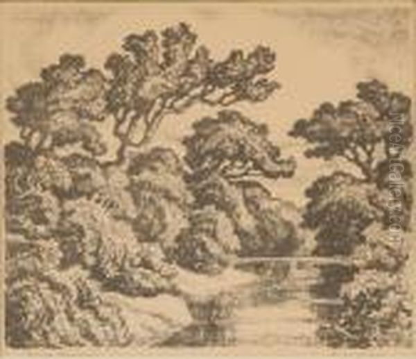 Summer Landscape - view 1