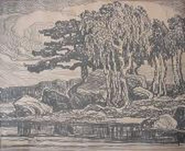 Birch And Pine - view 1