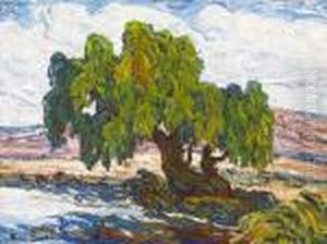 Old Willows by Sven Birger Sandzen