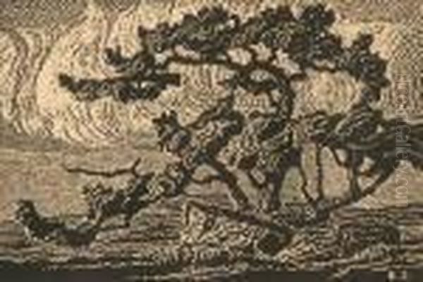 Old Tree - view 1