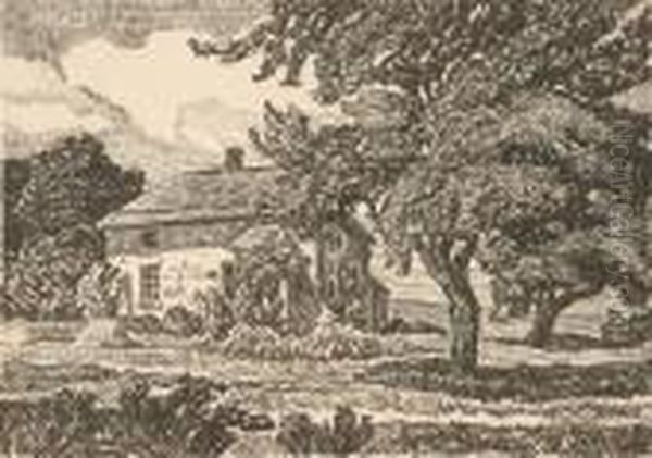 The Old Homestead - view 1