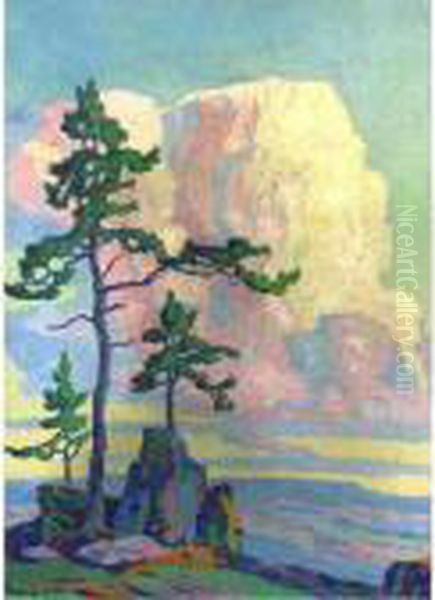 Colorado Pines - view 1