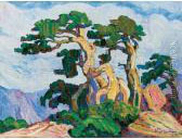 Lone Pine, Pike's Peak, Colorado - view 1