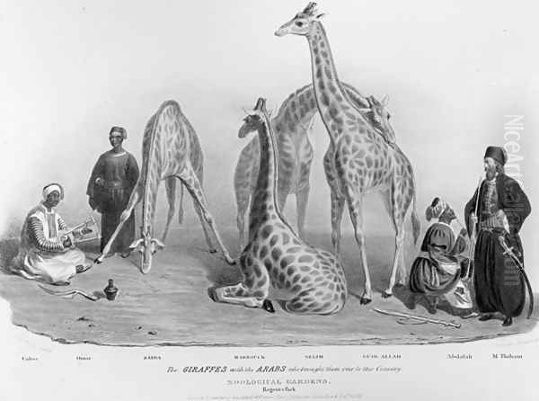 The Giraffes with the Arabs who brought them over to this country, Zoological Gardens, Regents Park, 1836 - view 1