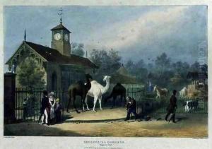 The Camel House at the Zoological Gardens, Regent's Park, engraved and pub. by the artist, printed by Charles Hullmandel 1789-1850, 1835