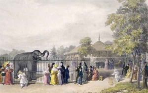 The Elephant House at the Zoological Gardens, Regents Park, engraved and pub. by the artist, printed by Charles Hullmandel 1789-1850, 1835