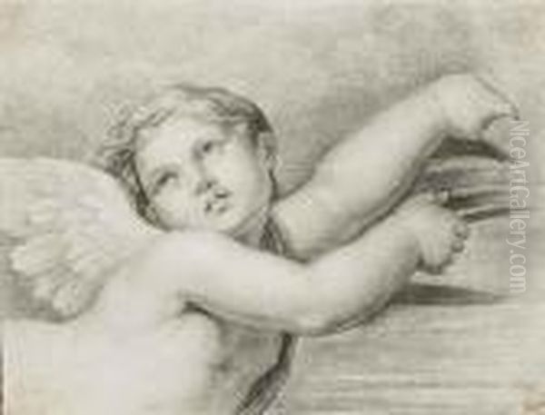 Head Of A Putto - view 1