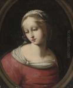 The Madonna
