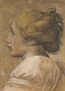 Head Of A Youth In Profile To The Left: Cartoon For A Tapestry