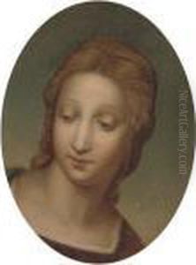 The Madonna Of The Goldfinch
