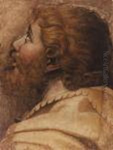 Head Of A Man Looking Up To The Left: A Cartoon For Atapestry