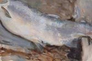 Study Of A Salmon
