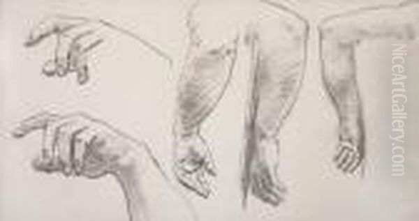 Studies Of Arms And Hands - view 1