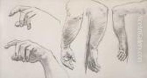 Studies Of Arms And Hands