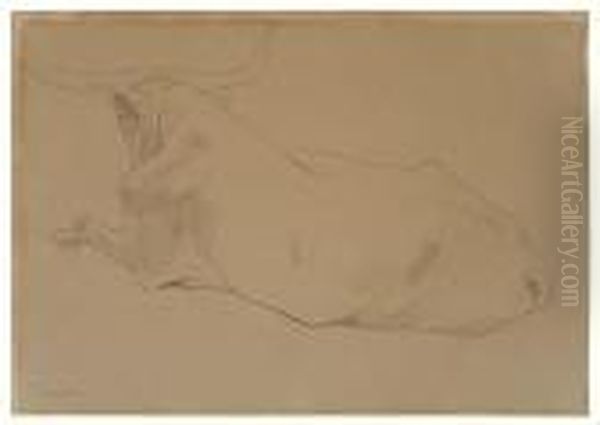 Study Of A Bull - view 1